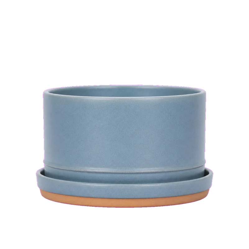 Fictional blue ceramic planter and saucer on a flat magenta background used as the source for the grounding test